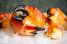 Load image into Gallery viewer, Caribbean Stone Crab Claws

